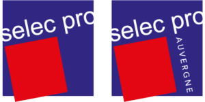 Logo Selec Pro Auvergne